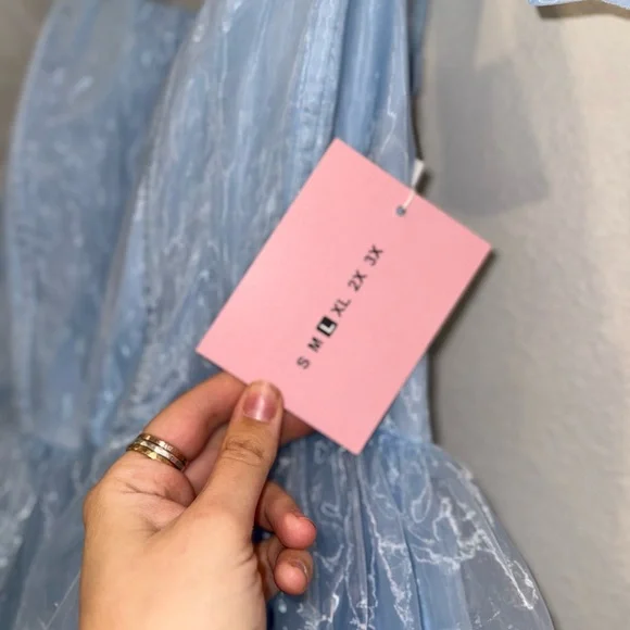 Wild Rose & Sparrow Siena Dress Blue Corset Tulle Mini L NWT Fairy - Picture 13 of 16